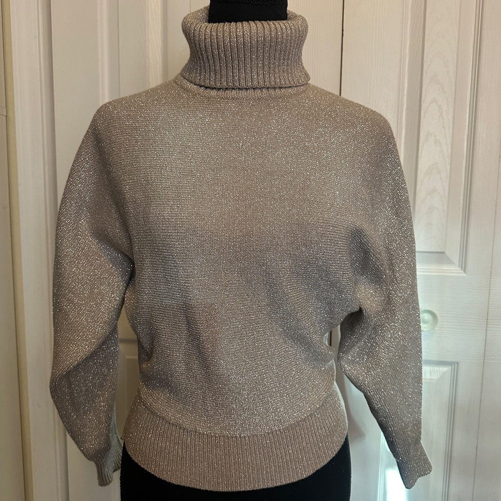 Philosophy Shimmering Silver Turtleneck Sweater
